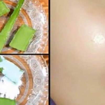 How To Store Aloe Vera Gel At Home For A Long Time