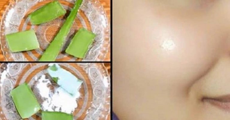 How To Store Aloe Vera Gel At Home For A Long Time