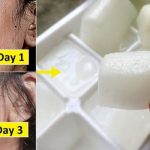 Rice Water Ice Cubes For Skin Whitening