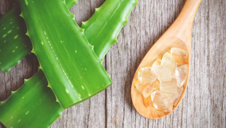 Aloe vera gel repair skin damage, soothe irritated skin, moisturize skin and reduce suntan.