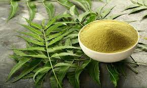 The anti-bacterial, anti-fungal properties of neem leaves make it a powerful agent to remove pimples.