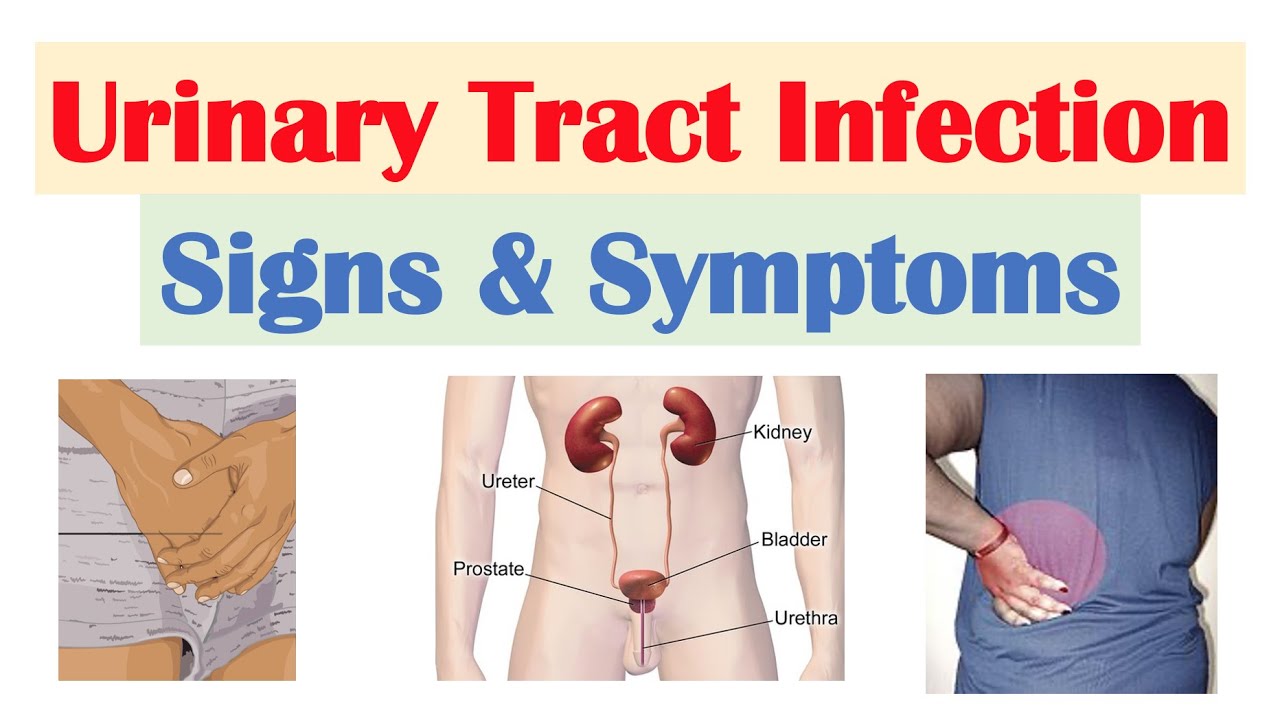 Everything about urine infection (UTI)