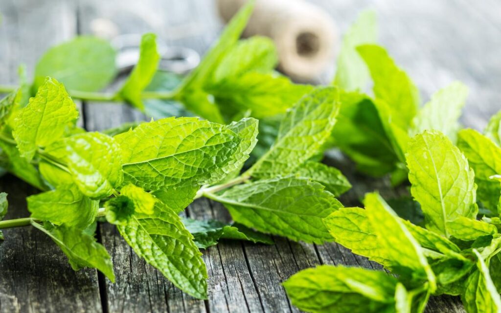 Mint leaves work well as a mild astringent agent that helps to tone your skin